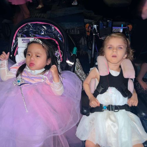 Two girls in fancy dresses in strollers